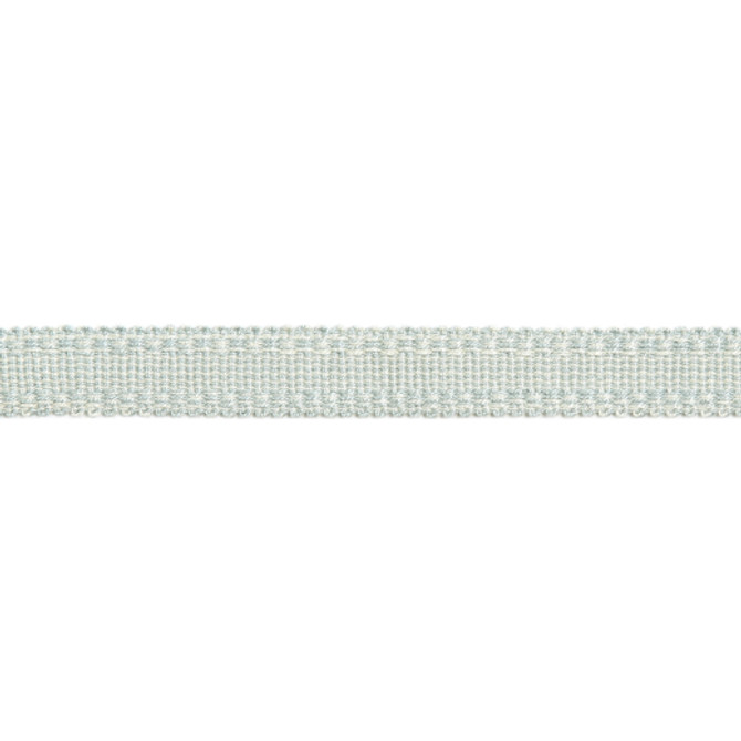 Versailles 9/16" Raised Edge Gimp - Soft Mineral by Europatex Designer Fabric Versailles 100% Rayon China See Sample Horizontal: N/A and Vertical: N/A 0.56 inches  - Swanky Fabrics -