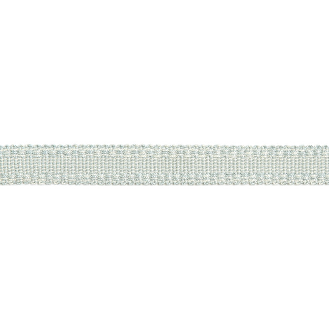 Versailles 9/16" Raised Edge Gimp Soft Mineral by Europatex Designer Fabric Versailles 100% Rayon 0.56 inches - Swanky Fabrics -