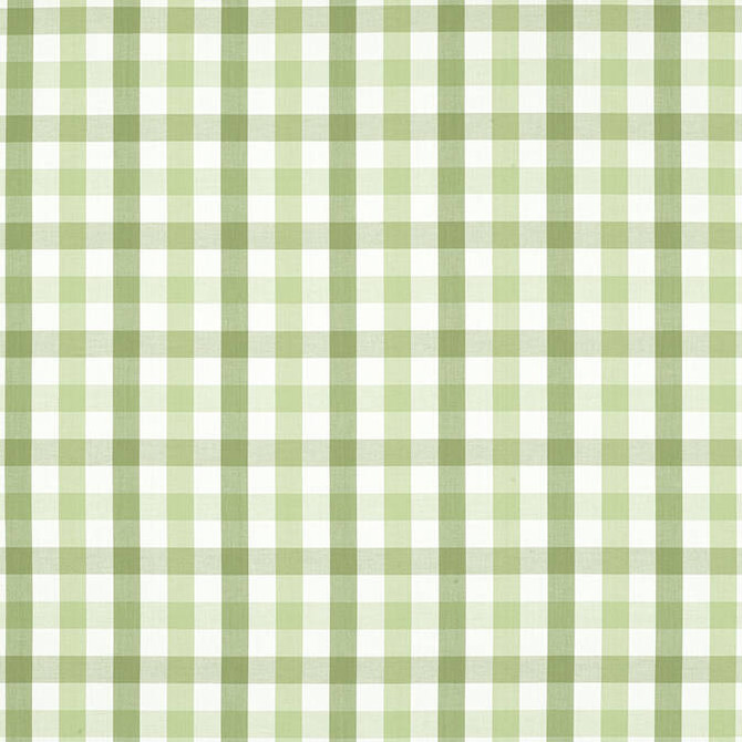Saybrook Check Green AW15145 by Anna French Fabric Anna French Fabric Saybrook Check Green AW15145Fabric Antilles Fabric Book 100% Cotton INDIA </p><p>Repeat: V: 4 54 - Fabric Carolina -