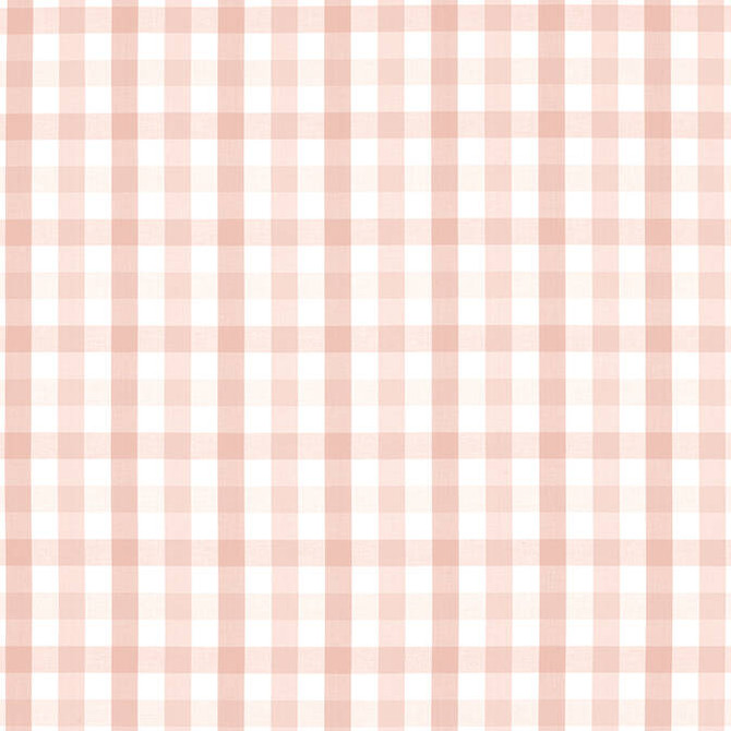 Saybrook Check Blush AW15148 by Anna French Fabric Anna French Fabric Saybrook Check Blush AW15148Fabric Antilles Fabric Book 100% Cotton INDIA </p><p>Repeat: V: 4 54 - Fabric Carolina -