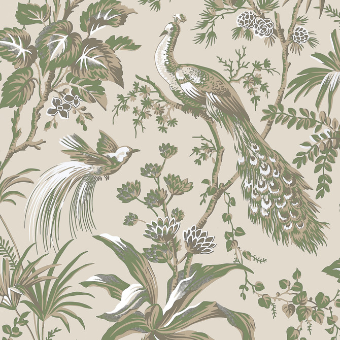 Peacock Toile Green on Natural AT57832 by Anna French Wallpaper Anna French Wallpaper Peacock Toile Green on Natural AT57832Wallpaper Bristol </p><p>Repeat: V: 36.00"(91.44 cm) 27.00"(68.58 cm) - Fabric Carolina -
