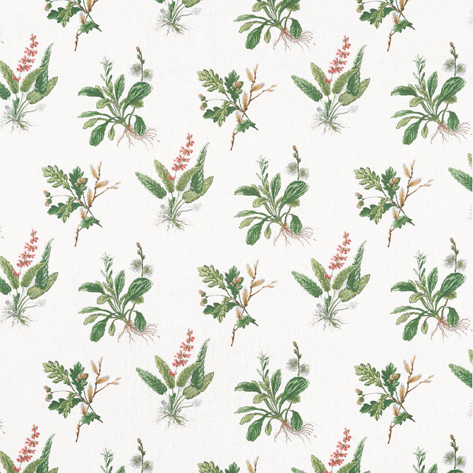 Woodland Green and Blush AF57852 by Anna French Fabric Anna French Fabric Woodland Green and Blush AF57852Fabric Bristol </p><p>Repeat: V: 21.50" (54.61 cm) 52.50" (133.35 cm) - Fabric Carolina -