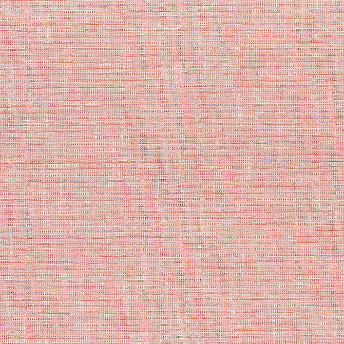 Cadence Coral W74037 by Thibaut Fabric Thibaut Fabric Cadence Coral W74037Fabric Cadence 100% Polyester - acr back U.S.A. </p><p>Repeat: V: - 54 - Fabric Carolina -