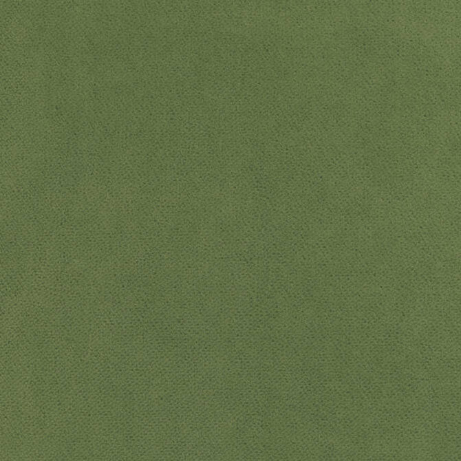 Club Velvet Celadon W7257 by Thibaut Fabric Thibaut Fabric Club Velvet Celadon W7257Fabric Club Velvet 70% Recycled PET Polyester, 30% Virgin Polyester NETHERLANDS </p><p>Repeat: V: - 54 - Fabric Carolina -