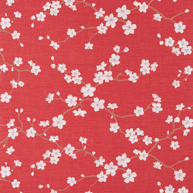 Sakura Red T75513 by Thibaut Wallpaper Thibaut Wallpaper Sakura Red T75513Wallpaper Dynasty Paperweave KOREA </p><p>Repeat: V: 27.5 36 - Fabric Carolina -