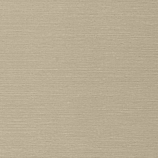 Taluk Sisal Mushroom T75147 by Thibaut Wallpaper Thibaut Wallpaper Taluk Sisal Mushroom T75147Wallpaper Faux Resource Non-Woven Vinyl Wallpaper U.S.A. </p><p>Repeat: V: 21 27 - Fabric Carolina -