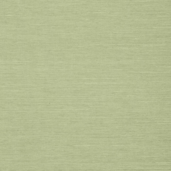 Shang Extra Fine Sisal Willow T5016 by Thibaut Wallpaper Thibaut Wallpaper Shang Extra Fine Sisal Willow T5016Wallpaper Grasscloth Resource Extra Fine Sisal CHINA </p><p>Repeat: V: - 36 - Fabric Carolina - Shang Extra Fine Sisal Willow T5016 by Thibaut Wallpaper Thibaut Wallpaper Shang Extra Fine Sisal Willow T5016Wallpaper Grasscloth Resource Extra Fine Sisal CHINA </p><p>Repeat: V: - 36 - Fabric Carolina -