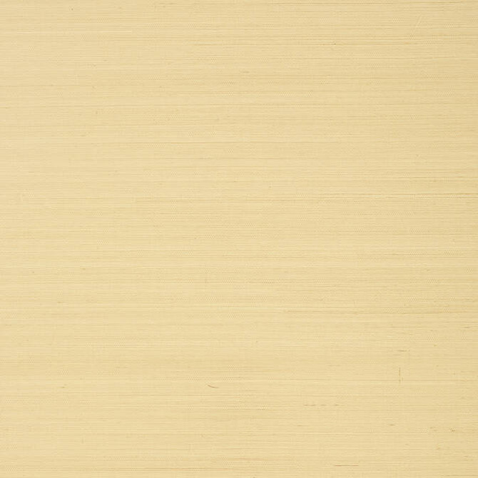 Shang Extra Fine Sisal Vanilla T5029 by Thibaut Wallpaper Thibaut Wallpaper Shang Extra Fine Sisal Vanilla T5029Wallpaper Grasscloth Resource Extra Fine Sisal CHINA </p><p>Repeat: V: - 36 - Fabric Carolina -