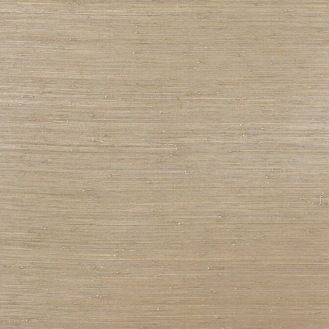 Rush Cloth Pewter T3696 by Thibaut Wallpaper Thibaut Wallpaper Rush Cloth Pewter T3696Wallpaper Grasscloth Resource 2 Rush Cloth KOREA </p><p>Repeat: V: - 36 - Fabric Carolina -