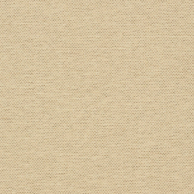 Adriatic Beige and Black T41129 by Thibaut Wallpaper Thibaut Wallpaper Adriatic Beige and Black T41129Wallpaper Grasscloth Resource 3 Paperweave KOREA </p><p>Repeat: V: - 36 - Fabric Carolina -