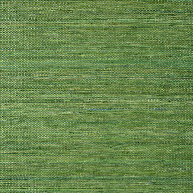 Raffia Palm Emerald Green T24074 by Thibaut Wallpaper Thibaut Wallpaper Raffia Palm Emerald Green T24074Wallpaper Grasscloth Resource 5 Raffia KOREA </p><p>Repeat: V: - 36 - Fabric Carolina -