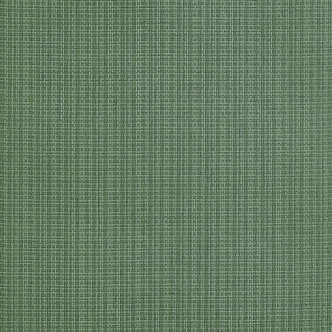 Coastline Spruce T19630 by Thibaut Wallpaper Thibaut Wallpaper Coastline Spruce T19630Wallpaper Grasscloth Resource 6 Paperweave CHINA </p><p>Repeat: V: - 36 - Fabric Carolina -
