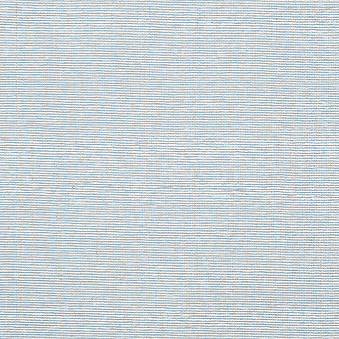 Edward'S Paper Robin's Egg T19699 by Thibaut Wallpaper Thibaut Wallpaper Edward'S Paper Robin's Egg T19699Wallpaper Grasscloth Resource 6 Paperweave KOREA, REPUBLIC OF </p><p>Repeat: V: 0 36 - Fabric Carolina -