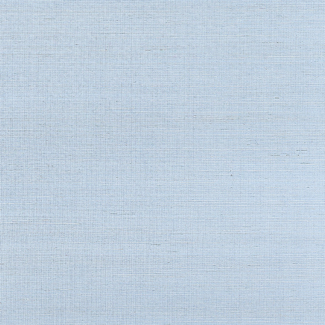 Shang Extra Fine Sisal Bahama T19620 by Thibaut Wallpaper Thibaut Wallpaper Shang Extra Fine Sisal Bahama T19620Wallpaper Grasscloth Resource 6 Extra Fine Sisal CHINA </p><p>Repeat: V: - 36 - Fabric Carolina -