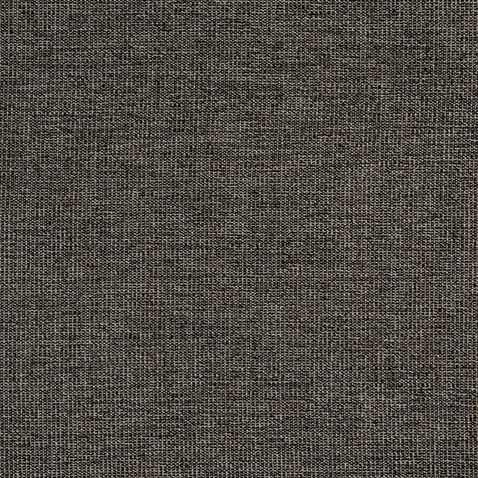 Sacchi Ebony W8758 by Thibaut Fabric Thibaut Fabric Sacchi Ebony W8758Fabric Haven Textures 100% Polyester (UV) U.S.A. </p><p>Repeat: V: - 54 - Fabric Carolina -