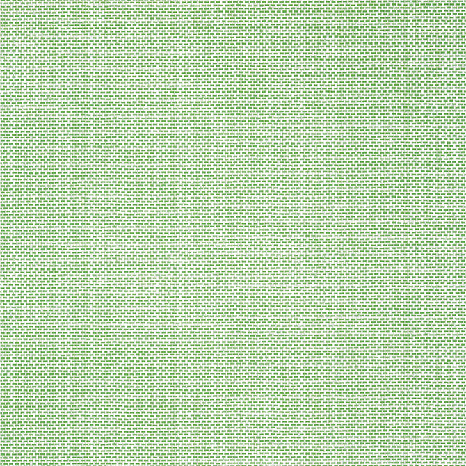 Palawan Green T16261 by Thibaut Wallpaper Thibaut Wallpaper Palawan Green T16261Wallpaper Kismet Wallpaper U.S.A. </p><p>Repeat: V: 12.62 27 - Fabric Carolina -