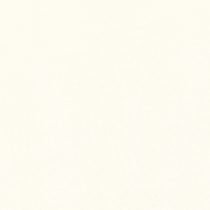 Asher Natural FWW81723 by Thibaut Fabric Thibaut Fabric Asher Natural FWW81723Fabric Locale Wide Width 100% Recycled Solution Dyed Acrylic ITALY </p><p>Repeat: V: - 126 - Fabric Carolina -