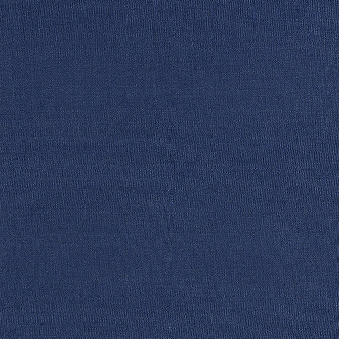 Liam Navy FWW81755 by Thibaut Fabric Thibaut Fabric Liam Navy FWW81755Fabric Locale Wide Width 100% Solution Dyed Acrylic TURKEY </p><p>Repeat: V: - 117 - Fabric Carolina -