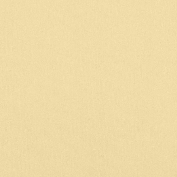 Alto Velvet Straw W8936 by Thibaut Fabric Thibaut Fabric Alto Velvet Straw W8936Fabric Lyra Velvets 50% Cotton, 50% Polyester ITALY </p><p>Repeat: V: 0 54 - Fabric Carolina -
