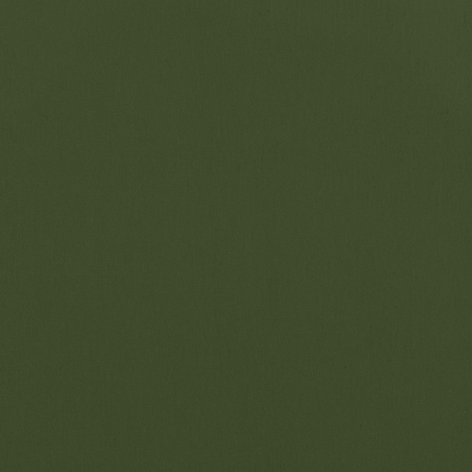 Alto Velvet Olive W8948 by Thibaut Fabric Thibaut Fabric Alto Velvet Olive W8948Fabric Lyra Velvets 50% Cotton, 50% Polyester ITALY </p><p>Repeat: V: 0 54 - Fabric Carolina -