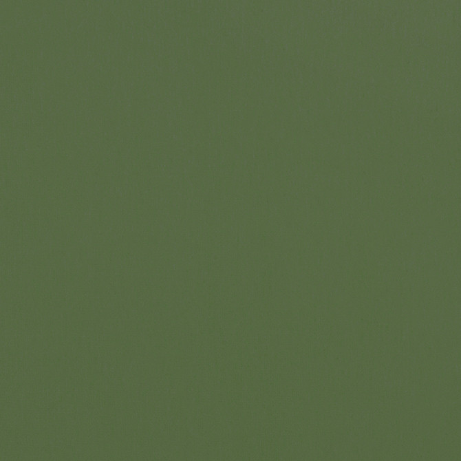 Alto Velvet Juniper W8950 by Thibaut Fabric Thibaut Fabric Alto Velvet Juniper W8950Fabric Lyra Velvets 50% Cotton, 50% Polyester ITALY </p><p>Repeat: V: 0 54 - Fabric Carolina -