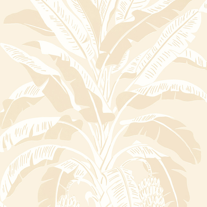 Banana Tree Beige T13920 by Thibaut Wallpaper Thibaut Wallpaper Banana Tree Beige T13920Wallpaper Palm Grove Wallpaper U.S.A. </p><p>Repeat: V: 36 27 - Fabric Carolina -