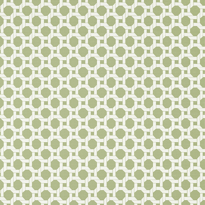 Charter Sage T13959 by Thibaut Wallpaper Thibaut Wallpaper Charter Sage T13959Wallpaper Palm Grove Non Woven Wallpaper U.S.A. </p><p>Repeat: V: 2.75 27 - Fabric Carolina -