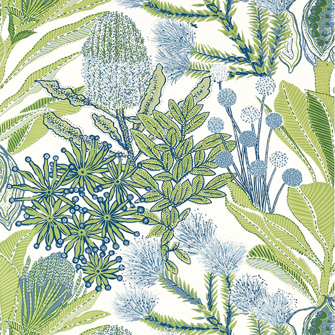 Protea Green and Blue T13923 by Thibaut Wallpaper Thibaut Wallpaper Protea Green and Blue T13923Wallpaper Palm Grove Wallpaper U.S.A. </p><p>Repeat: V: 25.25 27 - Fabric Carolina -