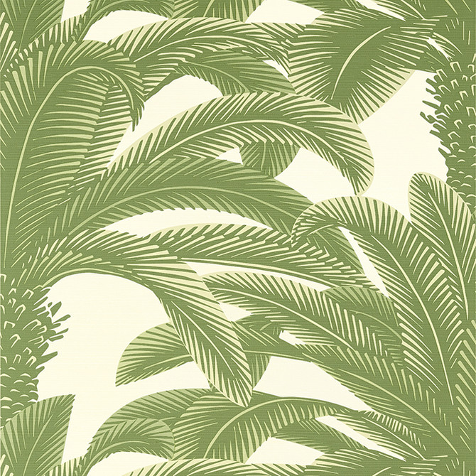 Queen Palm Sage T13911 by Thibaut Wallpaper Thibaut Wallpaper Queen Palm Sage T13911Wallpaper Palm Grove Non-Woven Vinyl Wallpaper U.S.A. </p><p>Repeat: V: 25 27 - Fabric Carolina -