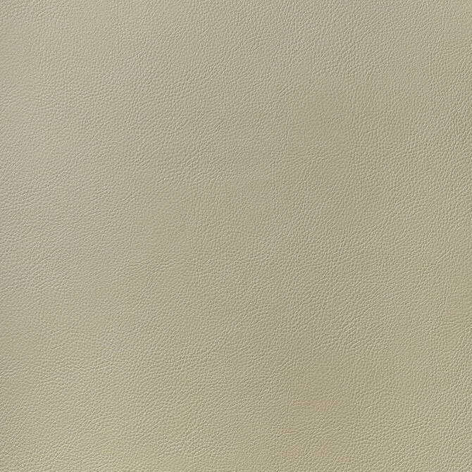 Arcata Dune W78383 by Thibaut Fabric Thibaut Fabric Arcata Dune W78383Fabric Sierra 80% Thermo PU, 20% Polyester KOREA </p><p>Repeat: V: - 54 - Fabric Carolina -