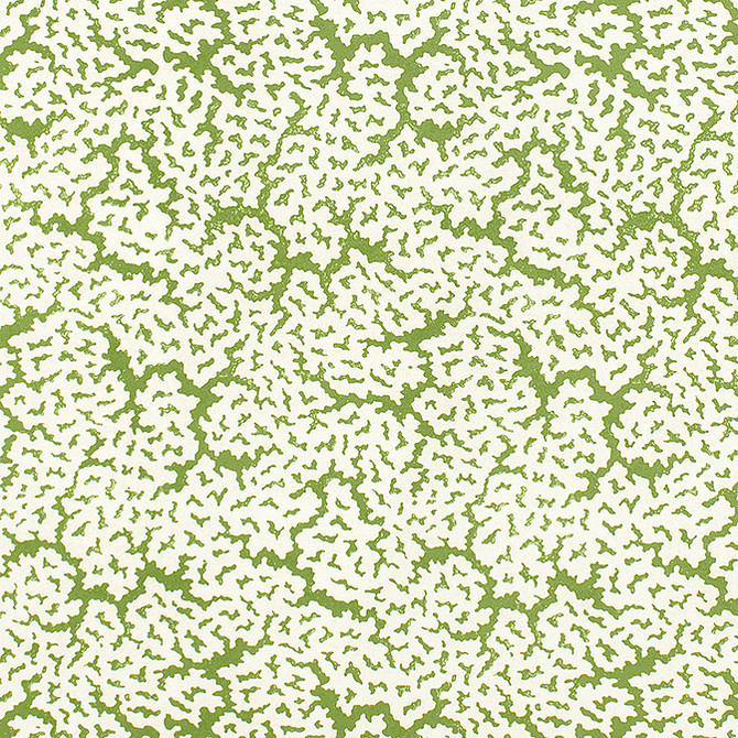 Maldives Green F942041 by Thibaut Fabric Thibaut Fabric Maldives Green F942041Fabric Sojourn Fabric Book 100% Cotton ITALY </p><p>Repeat: V: 21.75 53 - Fabric Carolina -