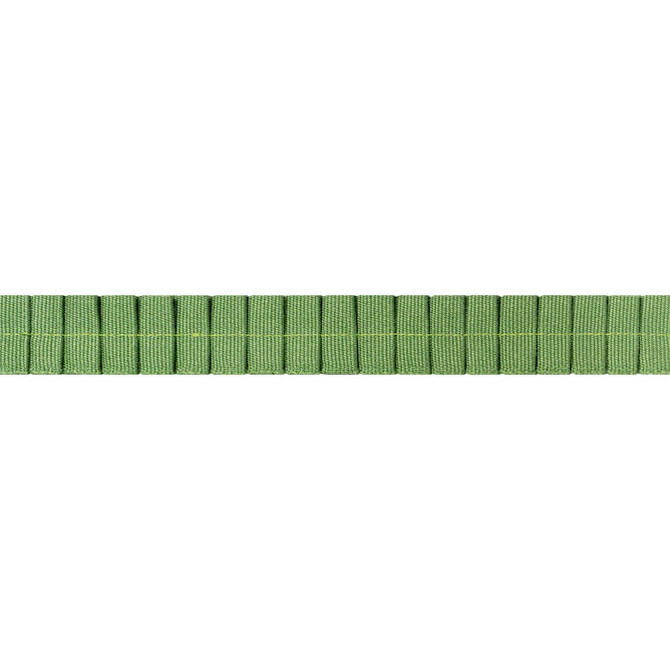 Pleated Tape Kelly E12060 by Thibaut Fabric Thibaut Fabric Pleated Tape Kelly E12060Fabric Tapes & Trims Volume 1 100% Cotton INDIA </p><p>Repeat: V: 0.37 0.87 - Fabric Carolina -