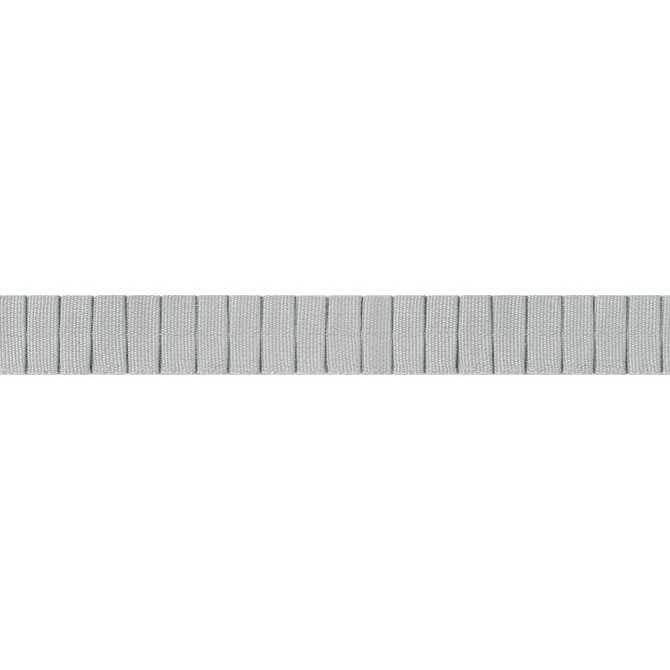 Pleated Tape Platinum E12068 by Thibaut Fabric Thibaut Fabric Pleated Tape Platinum E12068Fabric Tapes & Trims Volume 1 100% Cotton INDIA </p><p>Repeat: V: 0.37 0.87 - Fabric Carolina -