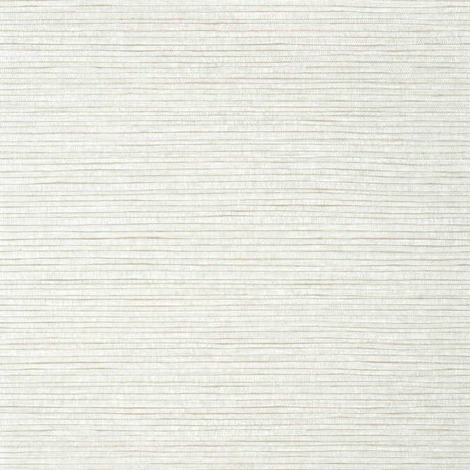 Woody Grass Off White T347 by Thibaut Wallpaper Thibaut Wallpaper Woody Grass Off White T347Wallpaper Texture Resource 6 Non-Woven Vinyl Wallpaper U.S.A. </p><p>Repeat: V: 21 27 - Fabric Carolina -