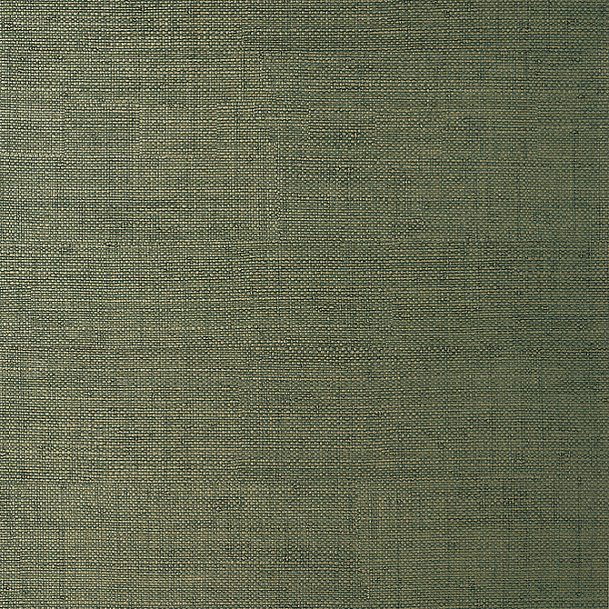 Bankun Raffia Forest T14513 by Thibaut Wallpaper Thibaut Wallpaper Bankun Raffia Forest T14513Wallpaper Texture Resource 8 Non-Woven Vinyl Wallpaper UNITED STATES </p><p>Repeat: V: 0 26 - Fabric Carolina -