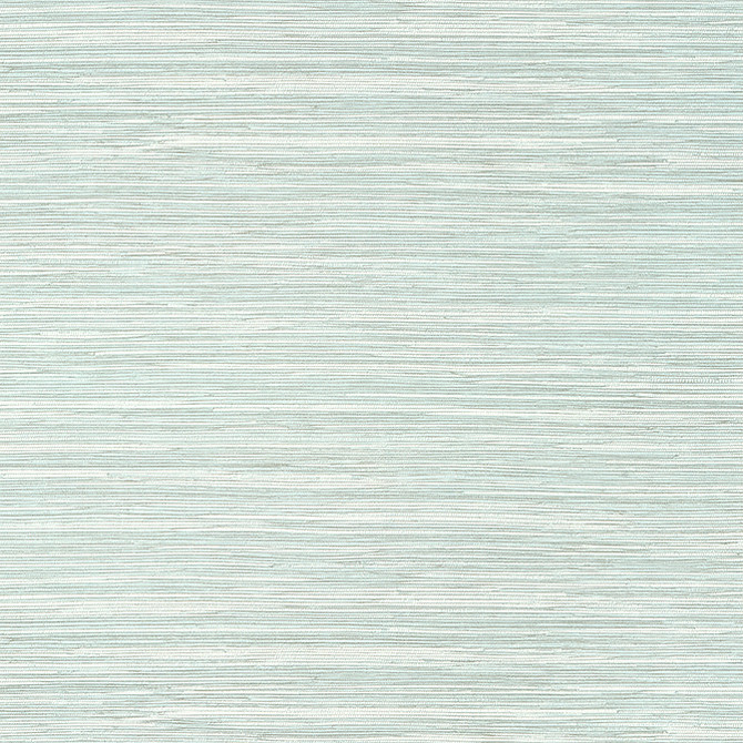 Normandy Robin's Egg T14553 by Thibaut Wallpaper Thibaut Wallpaper Normandy Robin's Egg T14553Wallpaper Texture Resource 8 Non-Woven Vinyl Wallpaper UNITED STATES </p><p>Repeat: V: 21 27 - Fabric Carolina -