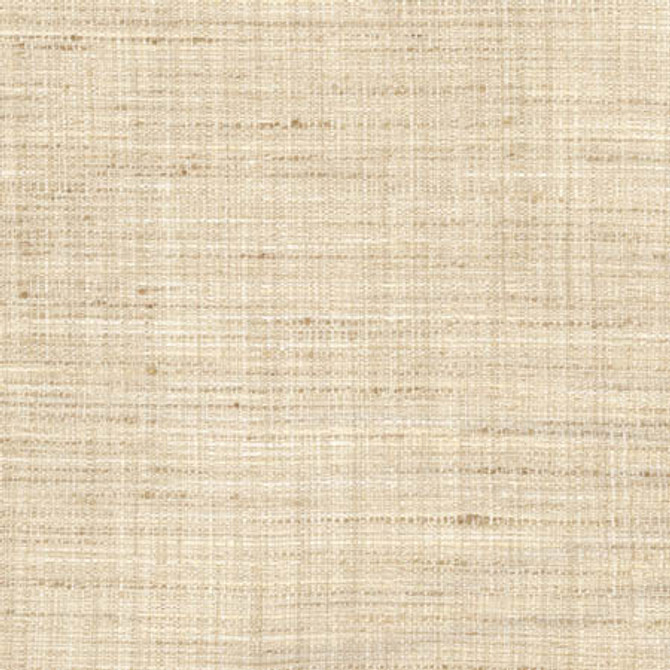 Main Chance Linen by Carole Designer Fabric Abode 100% Polyester India 30,000 Wyzenbeek Double Rubs None 56" - Swanky Fabrics -