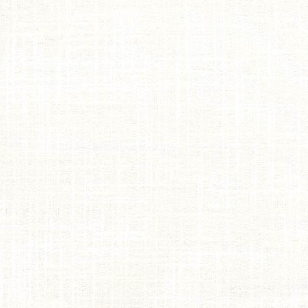 Sidewalk Snow by Carole Designer Fabric Abode 100% Polyester India 100,000 Wyzenbeek Double Rubs None 54" - Swanky Fabrics -