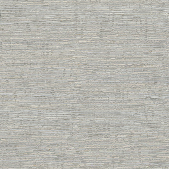 Greater Good Silver by Carole Designer Fabric Alliance 76% Polyester, 14% Cotton, 5% Rayon, 5% Linen India 30,000 Wyzenbeek Double Rubs None 55 1/2"" - Swanky Fabrics -