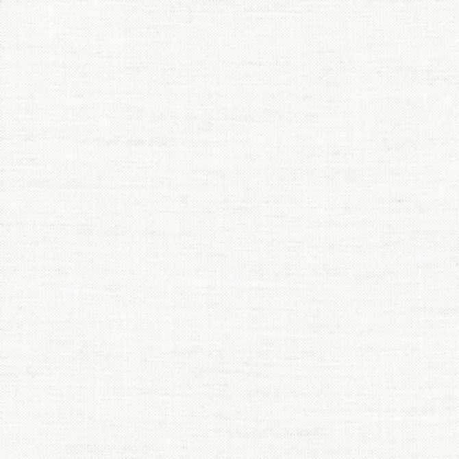 Hand Holder White by Carole Designer Fabric Alliance 100% Polyester India N/A None 54"" - Swanky Fabrics -