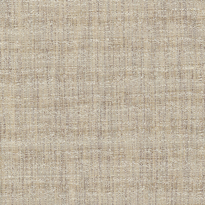 Join Me Natural by Carole Designer Fabric Alliance 100% Polyester India None 54"" - Swanky Fabrics -