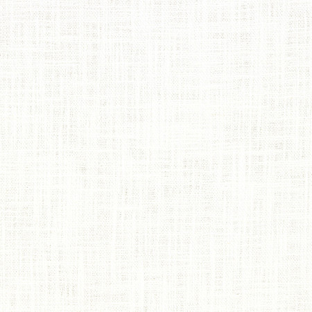 Most Part Ivory by Carole Designer Fabric Alliance 66% Polyester, 19% Linen, 15% Cotton India None 54"" - Swanky Fabrics -