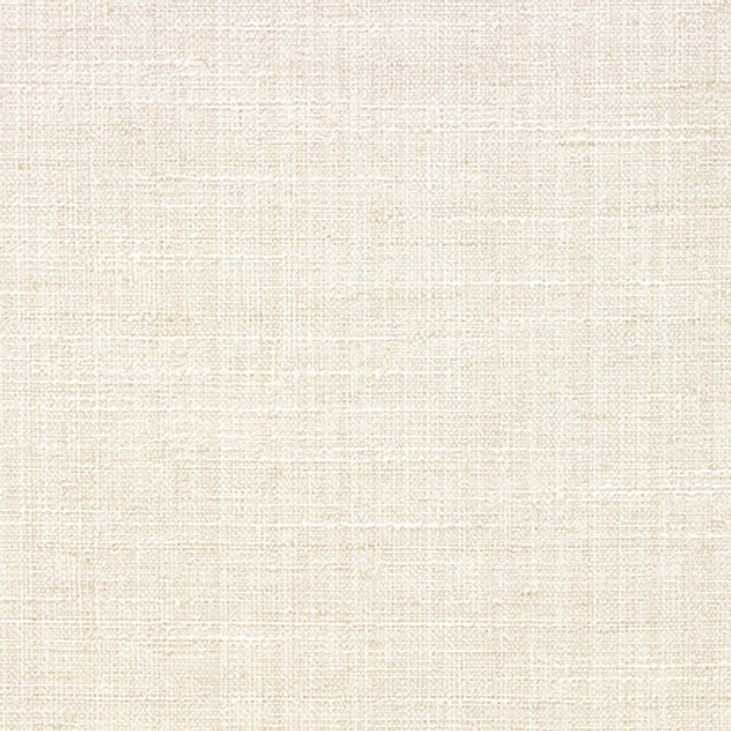 Stand Tall Birch by Carole Designer Fabric Alliance 100% Polyester India None 54"" - Swanky Fabrics -