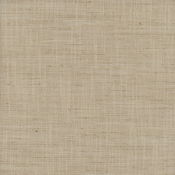 There For You Grain by Carole Designer Fabric Alliance 100% Polyester India None 55"" - Swanky Fabrics -