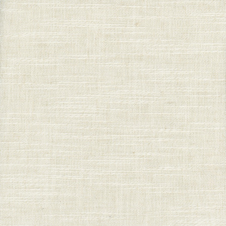 At Home Natural by Carole Designer Fabric Linen Archive 87% Polyester, 9% Linen, 4% Cotton India None 54"" - Swanky Fabrics -