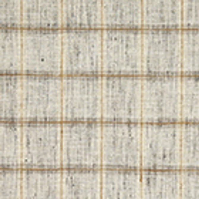 Reeves Graphite by Carole Designer Fabric Manchester 100% Polyester India 4" V, 3 1/2" H 55"" - Swanky Fabrics -