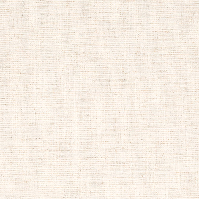 D4249 Tusk by Charlotte Fabric Crypton Neutrals II 90% Polyester, 10% Linen Finished in USA Exceeds 200,000 Wyzenbeek Rubs (Heavy Duty) No Repeat 54 Inches - Fabric Carolina -