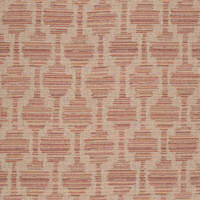 F300-248 by Charlotte Fabric Terracotta 70% Cotton, 30% Polyester USA Exceeds 100,000 Wyzenbeek Rubs (Heavy Duty) Horizontal 5" x Vertical 7" 54 Inches - Fabric Carolina -