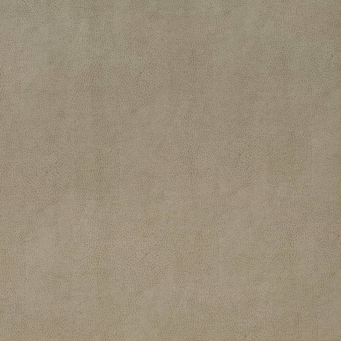 V863 Flint by Charlotte Fabric Leather Looks 69% Polyurethane, 28% Polyester, 3% Cotton Asia Exceeds 100,000 Wyzenbeek Rubs (Heavy Duty) No Repeat 54 Inches - Fabric Carolina -