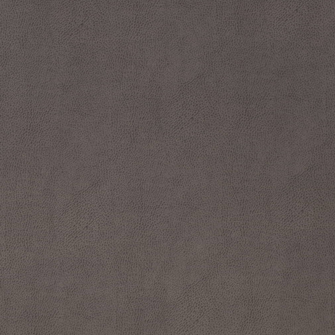 V866 Gunmetal by Charlotte Fabric Leather Looks 69% Polyurethane, 28% Polyester, 3% Cotton Asia Exceeds 100,000 Wyzenbeek Rubs (Heavy Duty) No Repeat 54 Inches - Fabric Carolina -